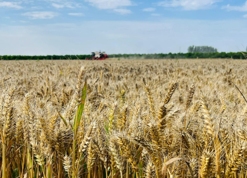 两部门联合公布4起非法占用耕地刑事犯罪典型案例